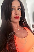 Villorba Trans Escort Pamy La Diva Stellare 324 7819703 foto selfie 1149