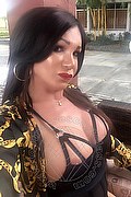 Villorba Trans Escort Pamy La Diva Stellare 324 7819703 foto selfie 1143