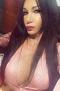 Villorba Trans Escort Pamy La Diva Stellare 324 7819703 foto selfie 1134