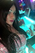 Villorba Trans Escort Pamy La Diva Stellare 324 7819703 foto selfie 1170