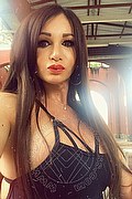 Villorba Trans Escort Pamy La Diva Stellare 324 7819703 foto selfie 1126