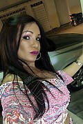 Villorba Trans Escort Pamy La Diva Stellare 324 7819703 foto selfie 1123