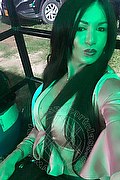 Villorba Trans Escort Pamy La Diva Stellare 324 7819703 foto selfie 1168