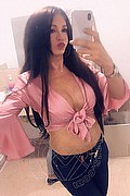 Villorba Trans Escort Pamy La Diva Stellare 324 7819703 foto selfie 1120