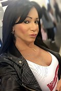 Villorba Trans Escort Pamy La Diva Stellare 324 7819703 foto selfie 1206