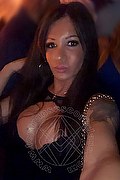 Villorba Trans Escort Pamy La Diva Stellare 324 7819703 foto selfie 1267