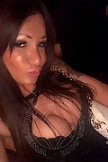 Villorba Trans Escort Pamy La Diva Stellare 324 7819703 foto selfie 1259