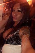 Villorba Trans Escort Pamy La Diva Stellare 324 7819703 foto selfie 1256