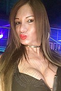 Villorba Trans Escort Pamy La Diva Stellare 324 7819703 foto selfie 1413