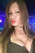 Villorba Trans Escort Pamy La Diva Stellare 324 7819703 foto selfie 1408