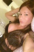 Villorba Trans Escort Pamy La Diva Stellare 324 7819703 foto selfie 1406