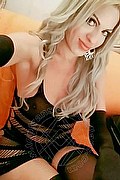 Sassari Trans Escort Sally Lauren 331 2608518 foto selfie 22