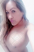 Vicenza Trans Escort Gyselle Pires 327 3386244 foto selfie 119