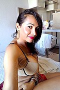 Desenzano Del Garda Trans Escort Tays 338 8586687 foto selfie 4
