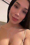 Monza Trans Escort Pamela Fox 344 0583639 foto selfie 17