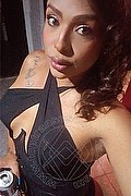 Montebelluna Trans Escort Khloe 329 7882424 foto selfie 2