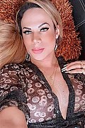Rovigo Trans Escort Ruby Divine 324 7795017 foto selfie 7