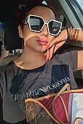 Milano Trans Escort Mishele 388 1553206 foto selfie 21