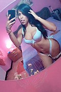 Sesto San Giovanni Trans Escort Laura Rocha 327 5428732 foto selfie 26