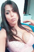 Sesto San Giovanni Trans Escort Laura Rocha 327 5428732 foto selfie 25