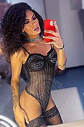 Gallarate Trans Escort Kauane Lima 351 4438227 foto selfie 6