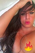 Lodi Trans Escort Yara 334 2700693 foto selfie 4