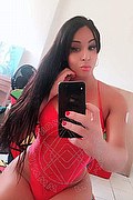 Lodi Trans Escort Yara 334 2700693 foto selfie 3