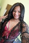 Arezzo Trans Escort Pantera V 329 7012583 foto selfie 2