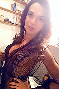 Sedriano Trans Escort Gisella Duarte 338 6414644 foto selfie 2