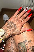 Reggio Calabria Trans Escort Bruna Menegassy 333 1926407 foto selfie 14