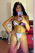 Roma Trans Escort Vik Campana 348 6445725 foto selfie 4