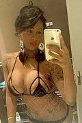 Voghera Trans Escort Paula Lucarely 327 2772495 foto selfie 5