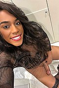Lodi Trans Escort Dryka 371 1943155 foto selfie 12