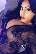 Lodi Trans Escort Dryka 371 1943155 foto selfie 4