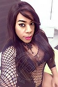 Lodi Trans Escort Dryka 371 1943155 foto selfie 3