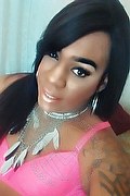 Lodi Trans Escort Dryka 371 1943155 foto selfie 5