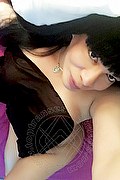 Vanzago Trans Escort Paloma Miranda 349 5678867 foto selfie 11