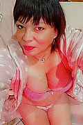 Vanzago Trans Escort Paloma Miranda 349 5678867 foto selfie 4