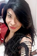 Prato Trans Escort Taina Oliveira 328 5382487 foto selfie 16