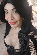 Prato Trans Escort Taina Oliveira 328 5382487 foto selfie 11