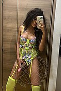 Parma Trans Escort Miele 328 4256421 foto selfie 66