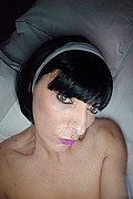 Novi Ligure Trans Escort Stefania Zanco 379 2374980 foto selfie 2