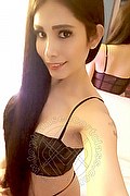 Udine Trans Escort Joselin 327 3866194 foto selfie 10