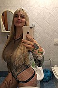 Vicenza Trans Escort Sarah Herrera 324 0865491 foto selfie 3