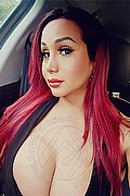Milano Trans Escort Mishele 388 1553206 foto selfie 12