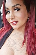 Milano Trans Escort Mishele 388 1553206 foto selfie 8