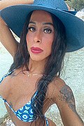 Verona Trans Escort Nicolly Di Biaggi 389 5463285 foto selfie 1