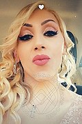 Messina Trans Escort Stella Vip 331 4257561 foto selfie 3