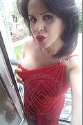 Cabo Frio Trans Escort Raffaella Bastos 0055 62996339624 foto selfie 38