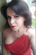 Cabo Frio Trans Escort Raffaella Bastos 0055 62996339624 foto selfie 35